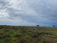 Gelände am Haus von Dionysos