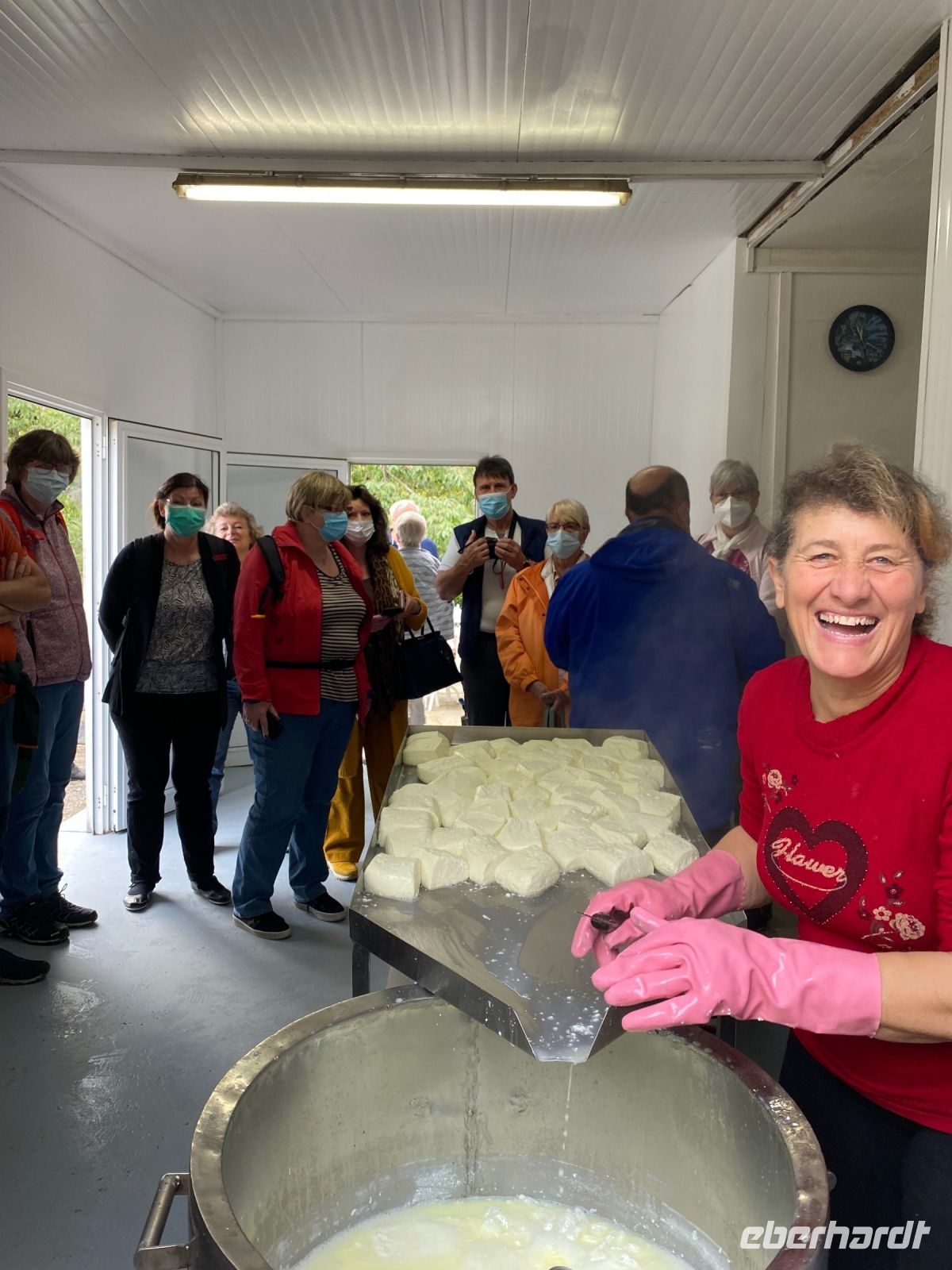 Ziegenfarm von Familie Loullas