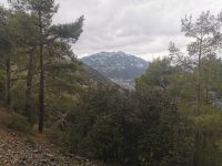 Blick ins Trodosgebirge