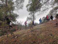 Und wieder geht es bergan