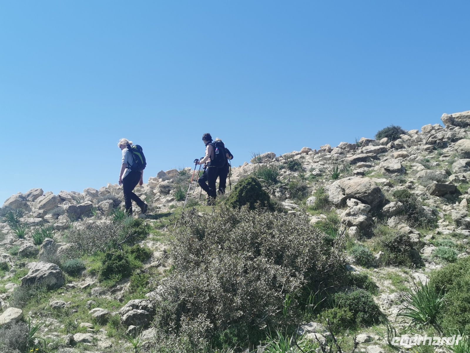 Ab und an gehts steil bergauf, aber das stört heut niemanden