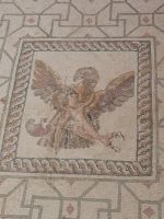 Mosaik im Archäologischen Museum Paphos