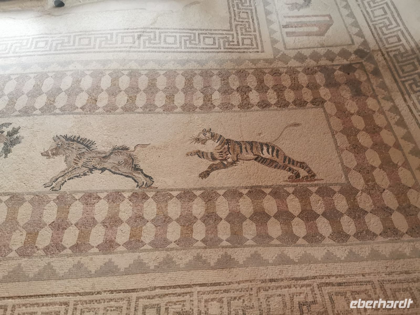 Tiermosaiken im Archäologischen Museum Paphos