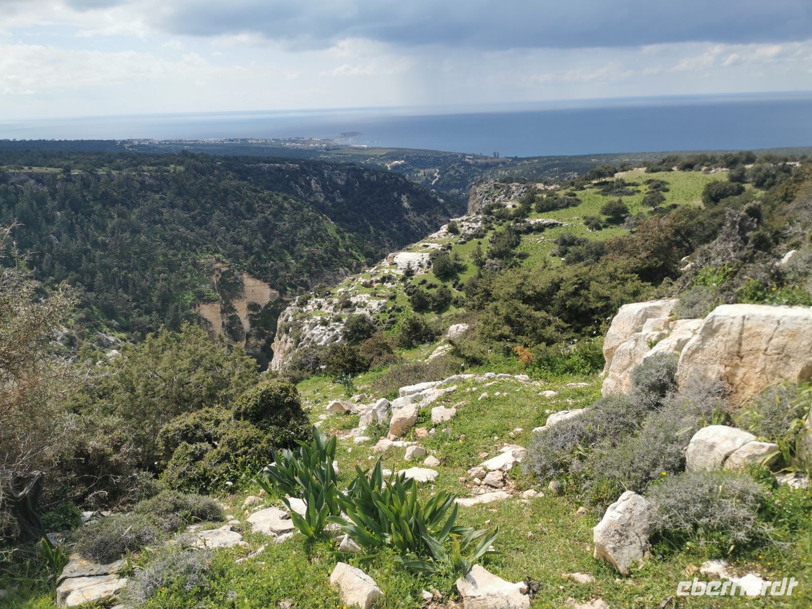 Am Rande der Avakas Schlucht, Akamas Halbinsel
