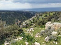 Am Rande der Avakas Schlucht, Akamas Halbinsel