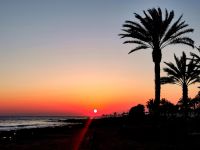 Einen besseren Abschluß der Reise können wir uns nicht vorstellen, Paphos