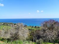 Blick aufs Meer vom Adonis Nature Trail