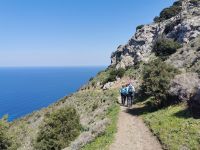 Unsere Gruppe auf dem Weg zum Meer, Akamas Halbinsel