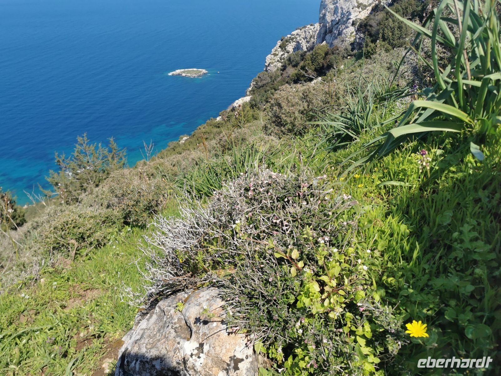 Türkisfarbenes Meer und schroffe Felsen, Akamas Halbinsel