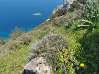 Türkisfarbenes Meer und schroffe Felsen, Akamas Halbinsel