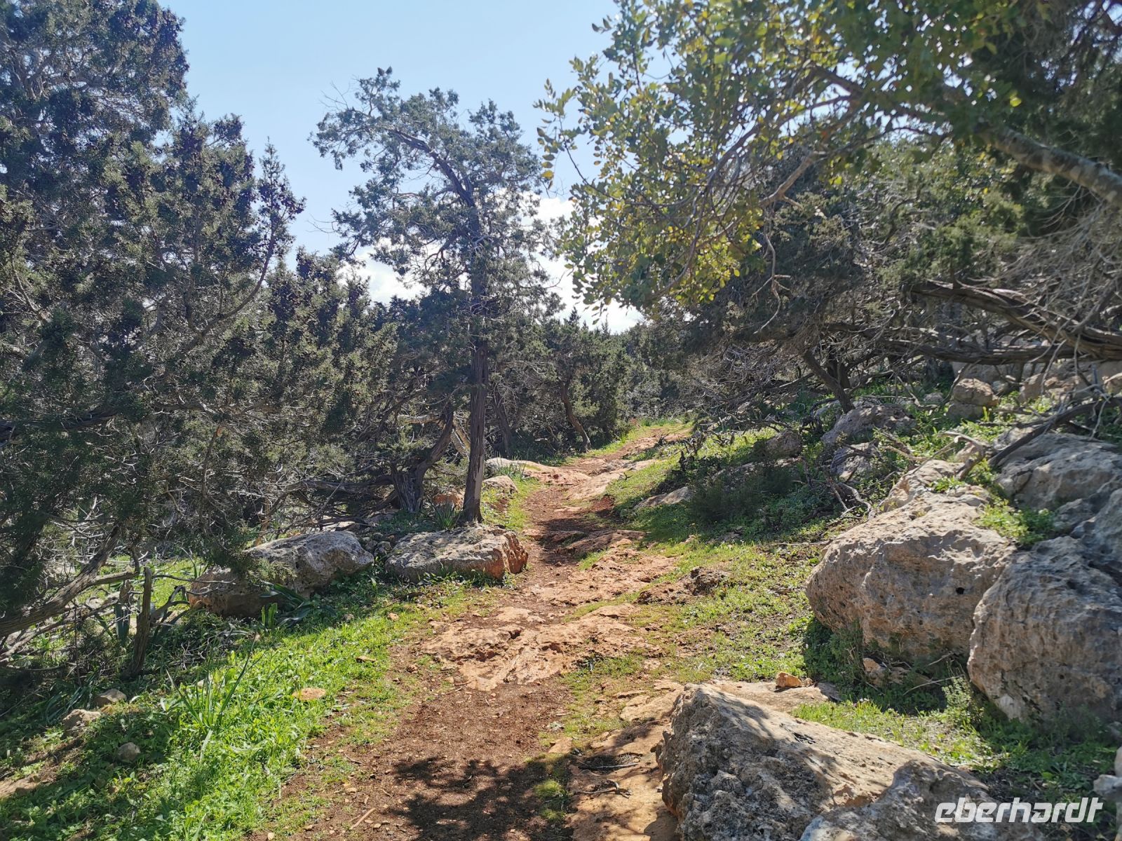 Weg auf der Akamas Halbinsel zum Bad der Aphrodite