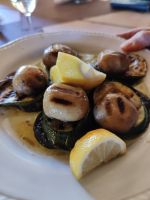 Gegrillte Auberginen und Zucchini mit Pilzen und Zitrone darf nie fehlen