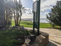 4. Spaziergang nach Paphos