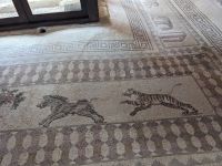 12. Archäologischer Park Paphos