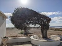 85. Nachmittagsspaziergang