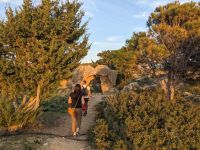 170. Königsgräber Paphos