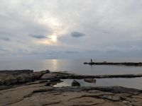 206. Nachmittagsspaziergang