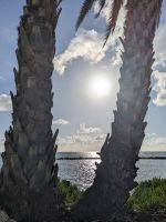 254. Rückweg zum Hotel