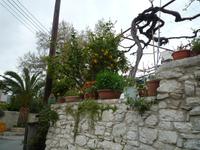 Weindorf im Trodos-Gebirge