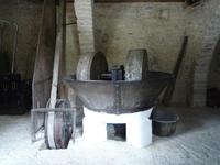 Wanderung im Trodos-Gebirge