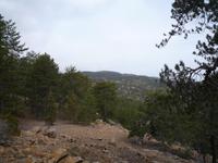 Wanderung im Trodos-Gebirge