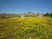 Ausgrabungsstätte Salamis