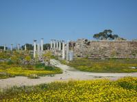 Ausgrabungsstätte Salamis