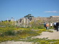 Ausgrabungsstätte Salamis