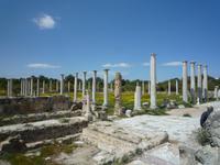 Ausgrabungsstätte Salamis