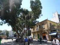 Nicosia - Nordzypern