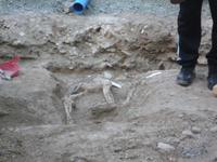 Ausgrabungen in Limassol