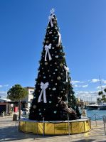 Weihnachten am Mittelmeer