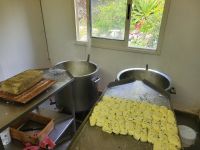 Herstellung von Haloumi 