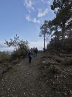 Wanderung entlang des Madari-Wanderpfad im Troodosgebirge &ndash; &copy; Peter Walther (Eberhardt TRAVEL)