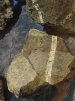 Gestein mit Asbest Einschlüsse &ndash; &copy; Peter Walther (Eberhardt TRAVEL)