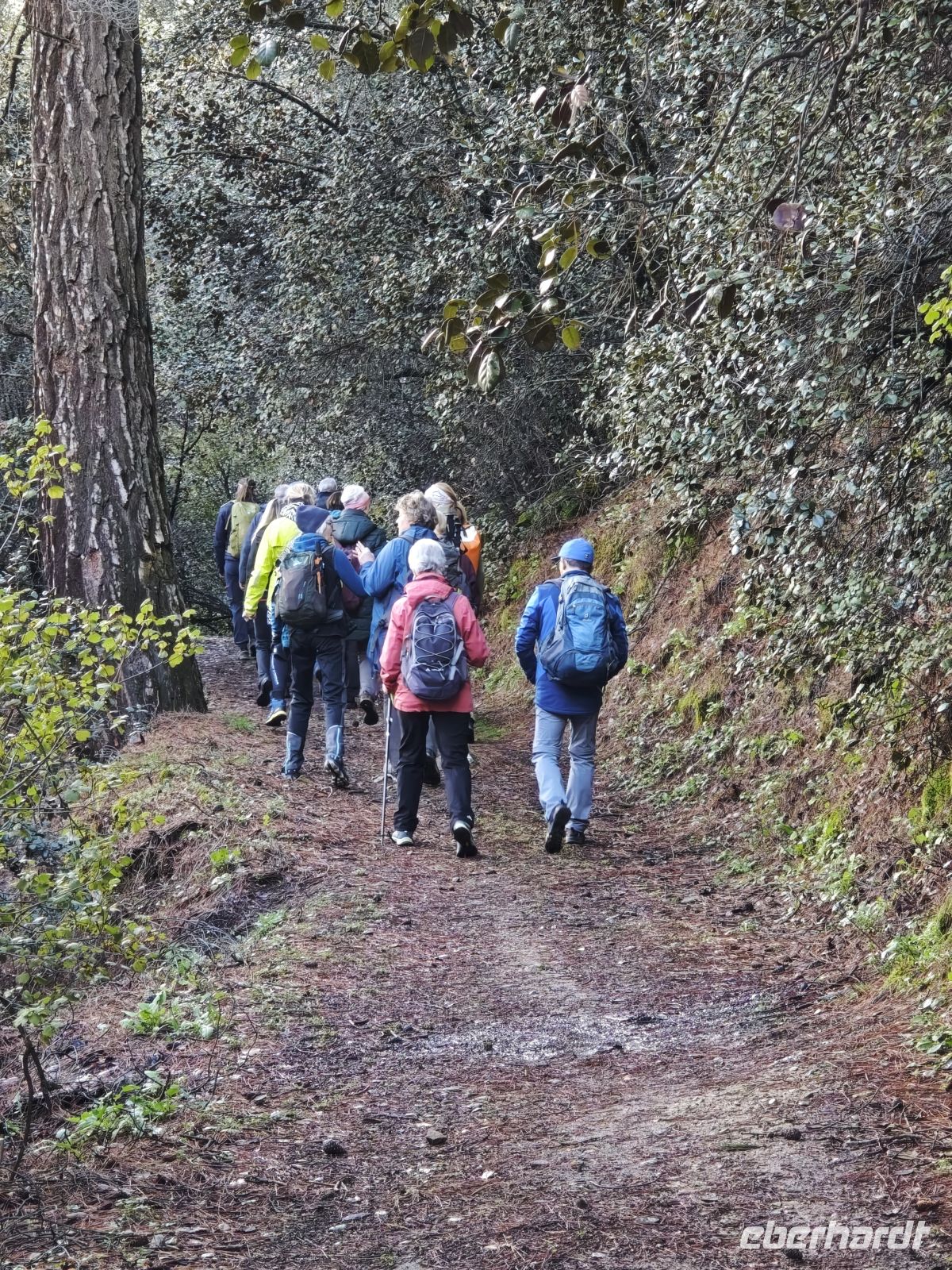 Wanderung zur Scheunendachkirche, Troodosgebirge Zypern &ndash; &copy;  (Eberhardt TRAVEL)