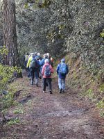 Wanderung zur Scheunendachkirche, Troodosgebirge Zypern &ndash; &copy; Peter Walther (Eberhardt TRAVEL)