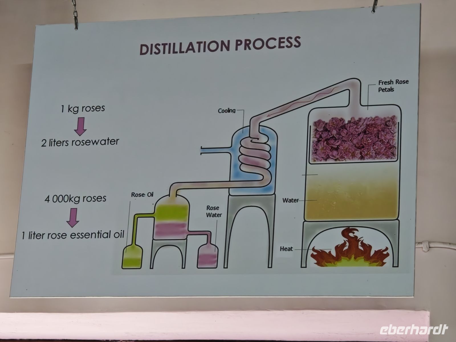Besichtigung Rosenmanufaktur in Agros, Zypern &ndash; &copy;  (Eberhardt TRAVEL)
