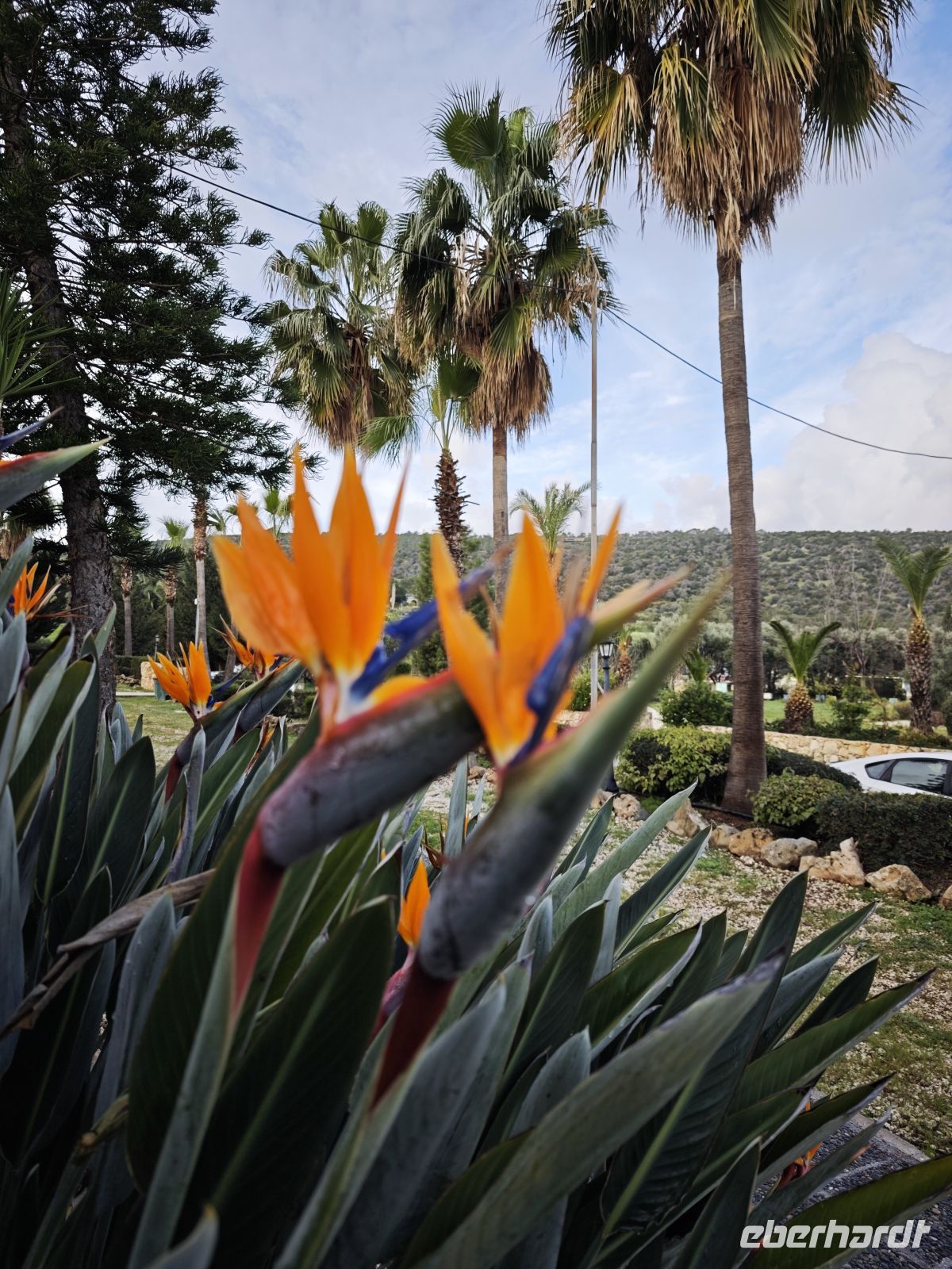 Hotelanlage in Latchi, Zypern &ndash; &copy;  (Eberhardt TRAVEL)