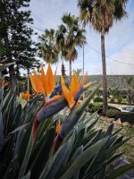 Hotelanlage in Latchi, Zypern &ndash; &copy; Peter Walther (Eberhardt TRAVEL)