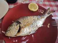 Mittagessen in Agios, Zypern &ndash; &copy; Peter Walther (Eberhardt TRAVEL)
