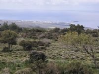 Blick auf die Lara Bucht, Zypern &ndash; &copy; Peter Walther (Eberhardt TRAVEL)