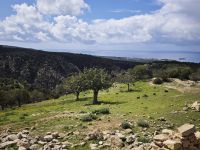 Wanderweg zur Avakasschlucht, Zypern &ndash; &copy; Peter Walther (Eberhardt TRAVEL)