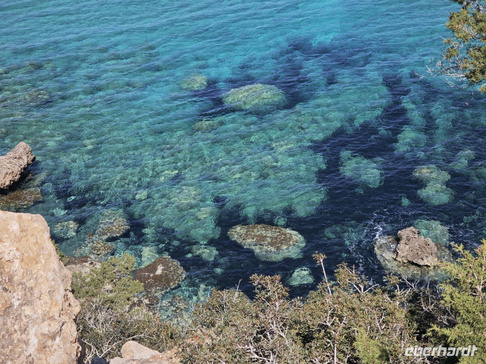 Buch auf der Akamas Halbinsel, Zypern &ndash; &copy;  (Eberhardt TRAVEL)