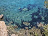 Buch auf der Akamas Halbinsel, Zypern &ndash; &copy; Peter Walther (Eberhardt TRAVEL)