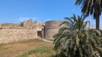 Othello Turm, Salamis &ndash; &copy; Geena Dutschmann (Eberhardt TRAVEL)
