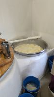 Halloumi Herstellung, Athienou &ndash; &copy; Geena Dutschmann (Eberhardt TRAVEL)
