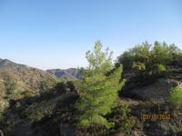 Dorfrundgang in Agros