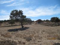 Wanderung im Zeichen des Halloumi