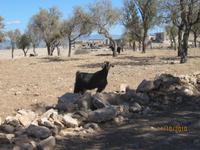 Wanderung im Zeichen des Halloumi